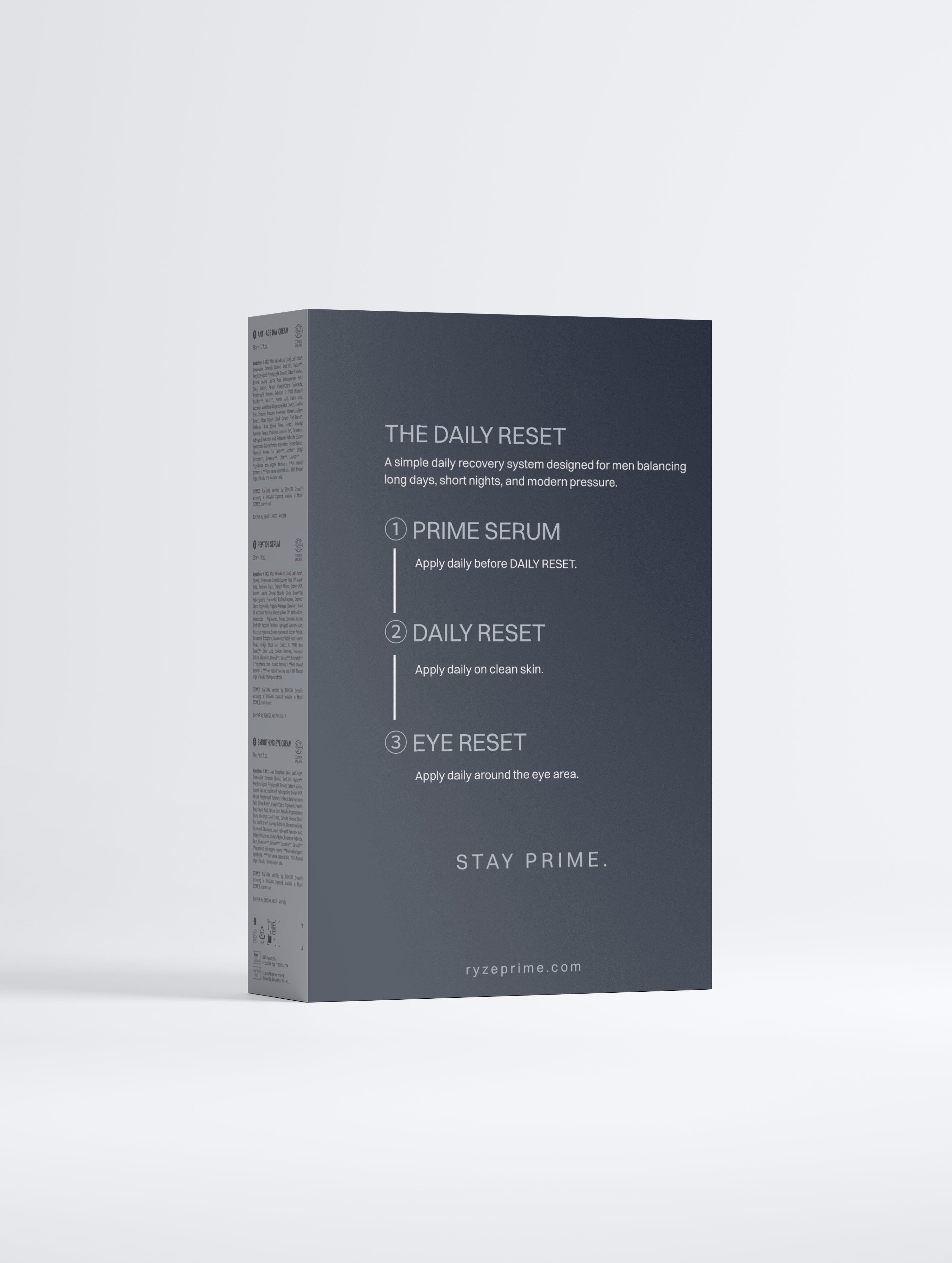 THE RESET SYSTEM